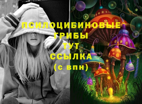 мдпв Новодвинск