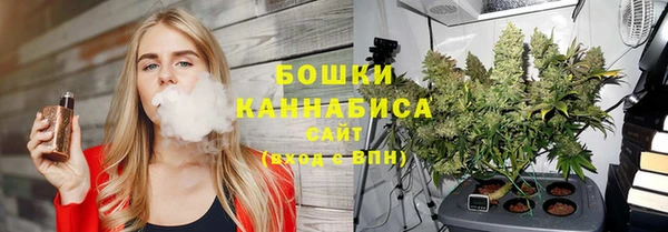 мдпв Новодвинск