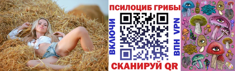 blacksprut маркетплейс  Лосино-Петровский  Псилоцибиновые грибы прущие грибы 