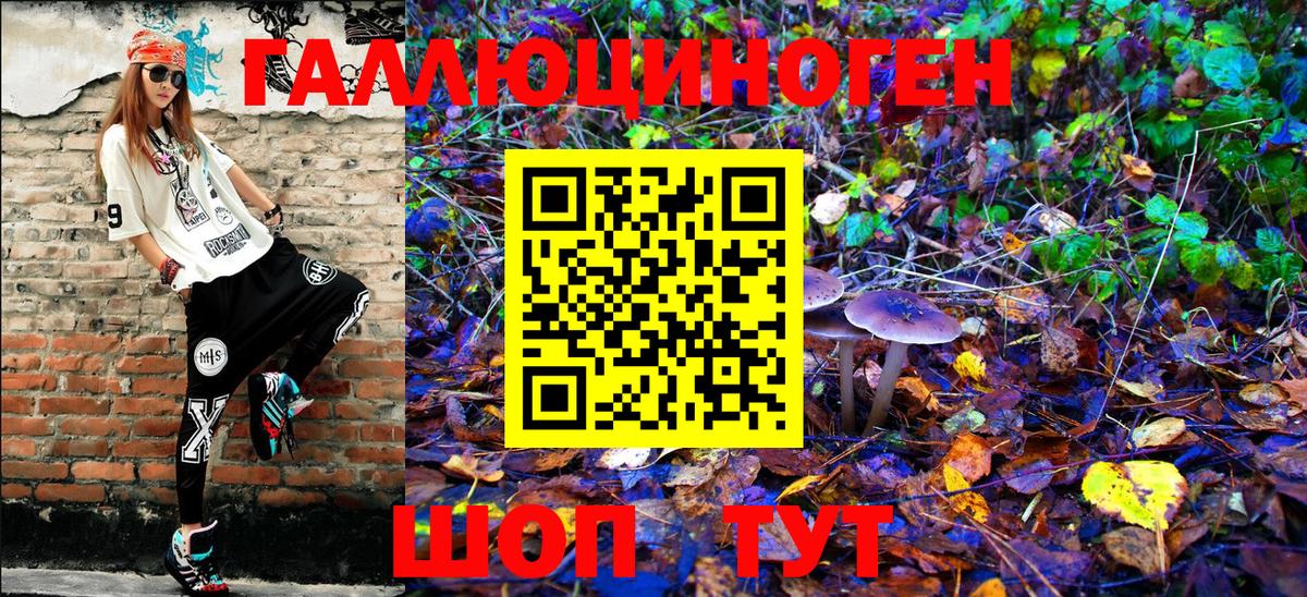 Псилоцибиновые грибы мухоморы Лосино-Петровский