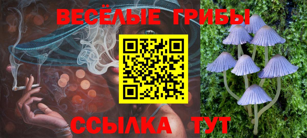 Галлюциногенные грибы Psilocybine cubensis  Вход с VPN  Лосино-Петровский  Галлюциногенные грибы MAGIC MUSHROOMS 
