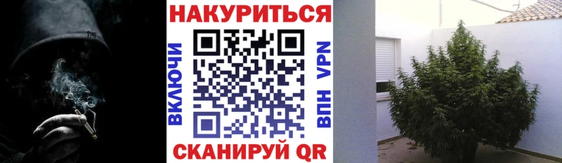где продают наркотики  Лосино-Петровский  Шишки марихуана LSD WEED 